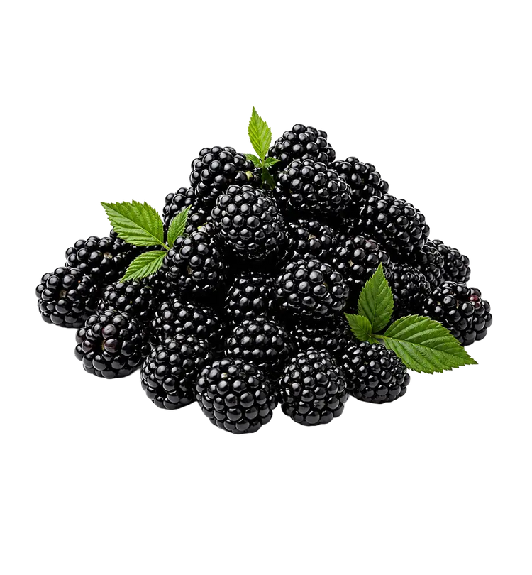 Blackberries from Armenia 250g.