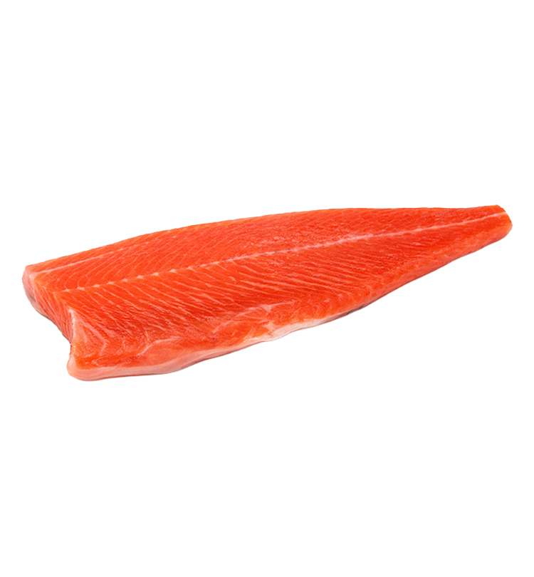 Coho Salmon Fillet