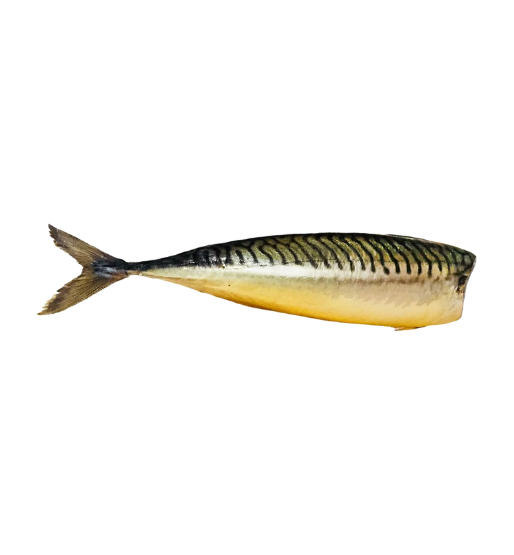 Cold Smocked Mackerel