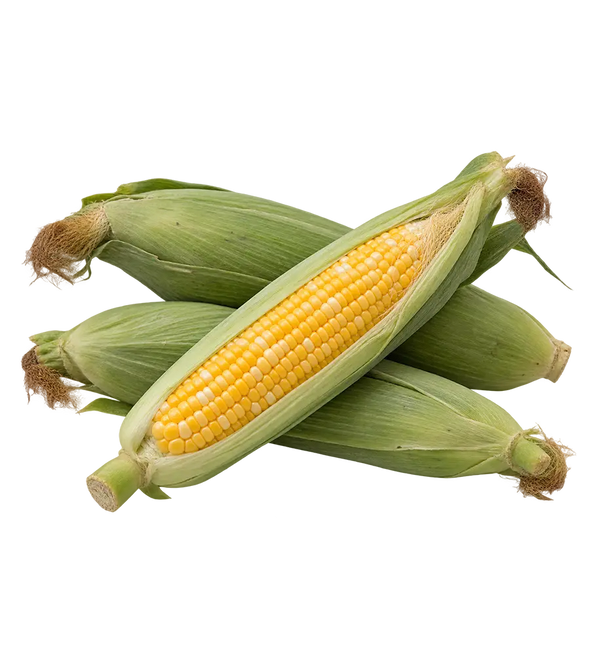 Fresh Corn from Armenia 500g.