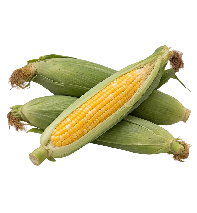 Fresh Corn from Armenia 500g.