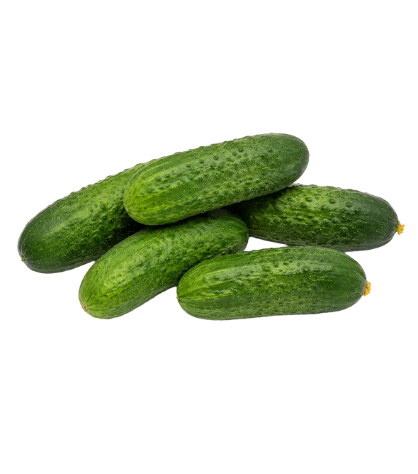 Fresh Cucumbers from Armenia 500g