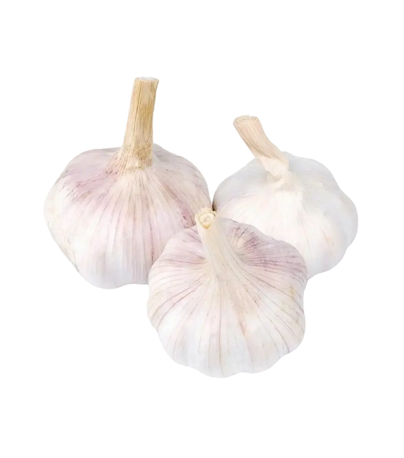 Чеснок из Узбекистана 500г.