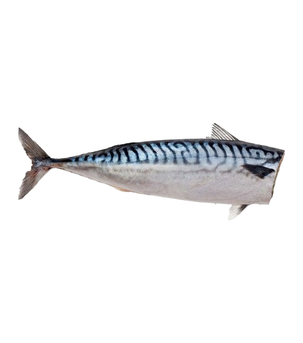Gently Dried Mackerel