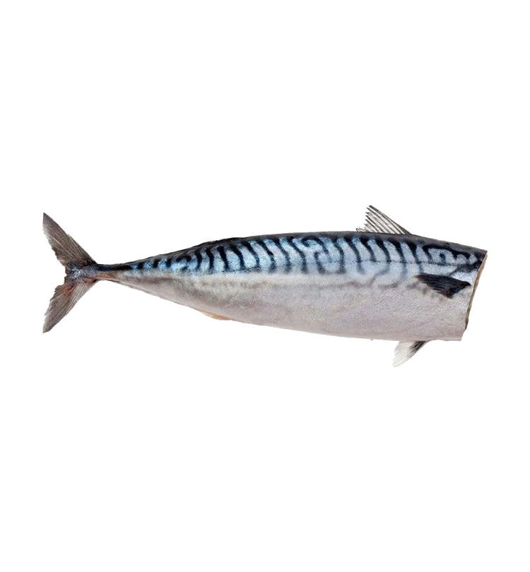 Gently Dried Mackerel