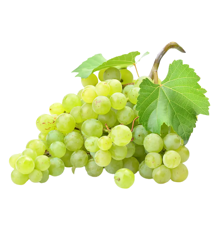 White Kishmish Grapes from Armenia 500g.