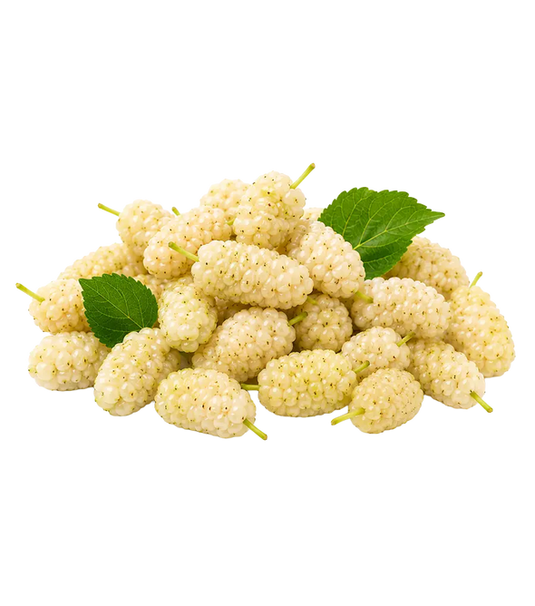 Fresh White Mulberries from Armenia 250g. (Coming Soon)