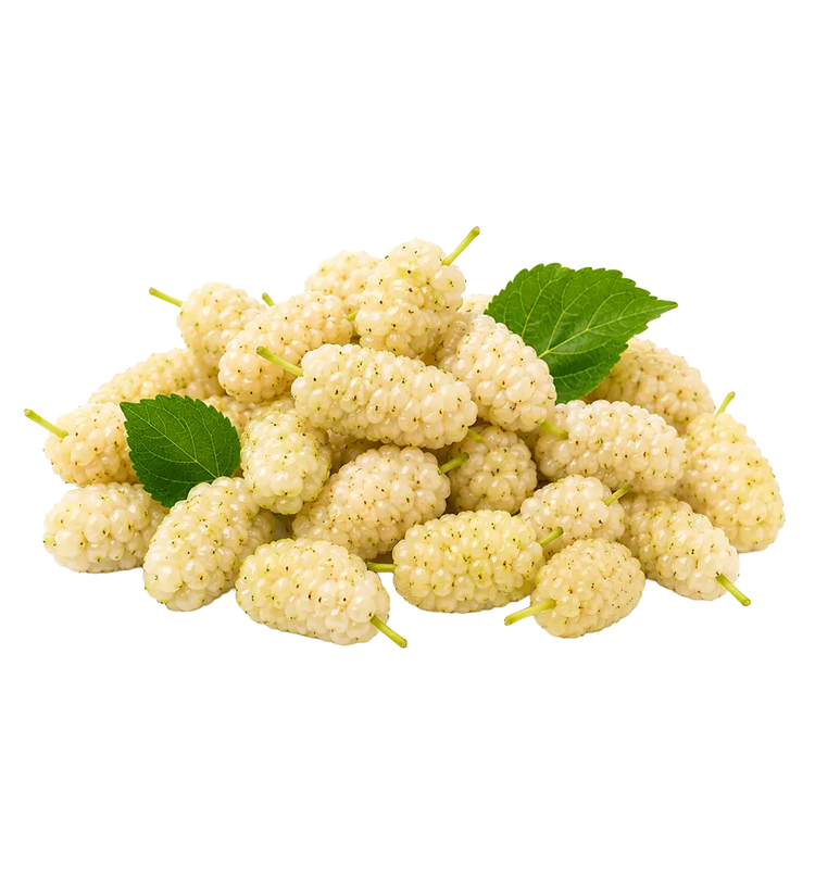 Fresh White Mulberries from Armenia 250g. (Coming Soon)