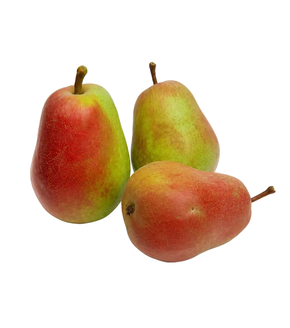 Forest Beauty Pear from Armenia 500g