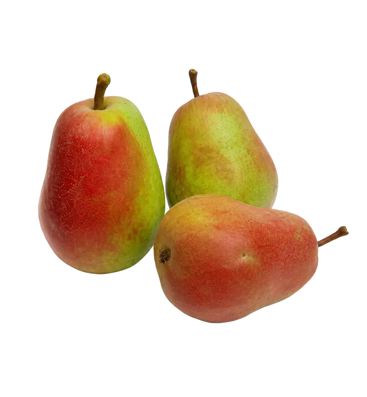 Forest Beauty Pear from Armenia 500g