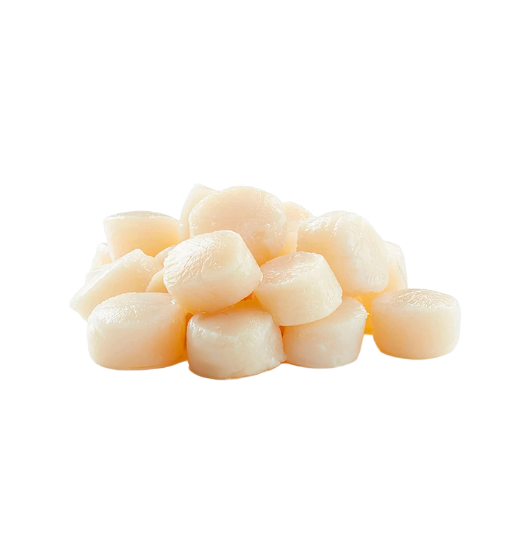Frozen Sea Scallops