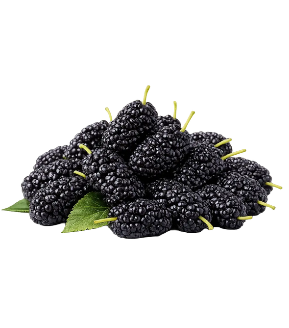 Fresh Black Mulberries from Armenia 250g. (Coming Soon)