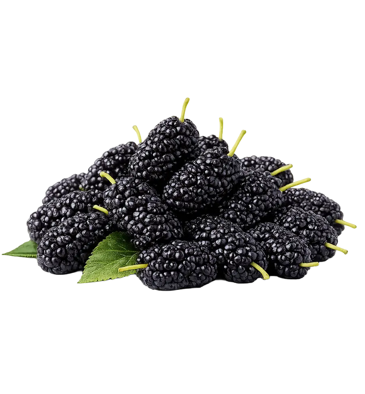 Fresh Black Mulberries from Armenia 250g. (Coming Soon)
